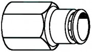 Push-To-Connect Tube x FPT