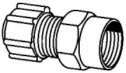 Polyline Compression x FPT